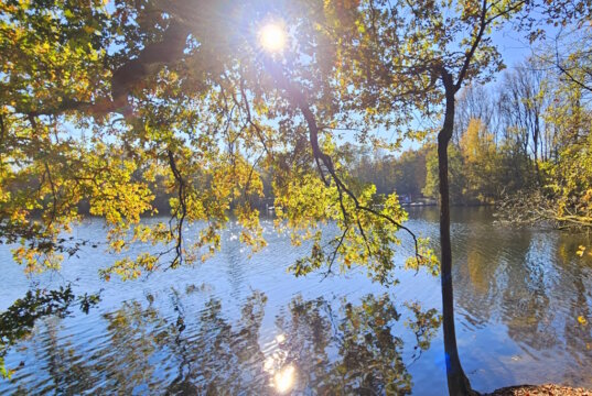 Idyllische Natur am Unterbacher See – ein Ort zum Durchatmen und Genießen, direkt vor den Toren Düsseldorfs. (Foto: © Miriam Köppchen)