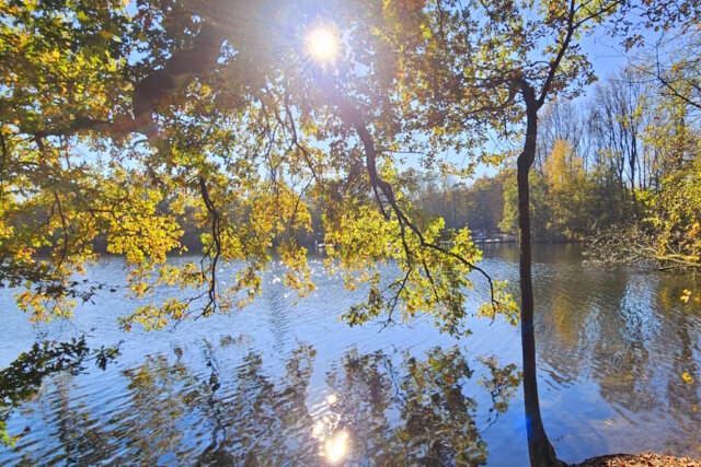 Idyllische Natur am Unterbacher See – ein Ort zum Durchatmen und Genießen, direkt vor den Toren Düsseldorfs. (Foto: © Miriam Köppchen)
