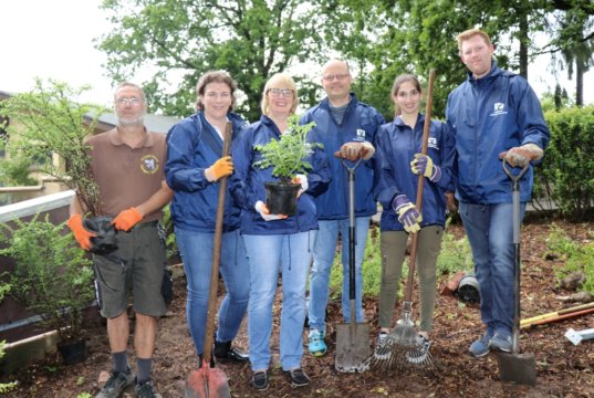 Die Mitarbeiterinnen und Mitarbeiter der Walder Filiale der Volksbank im Bergischen Land pflanzten jetzt in der Fauna einen Rosengarten und eine Hecke: v.li. Dirk Kloy, Landschaftsgärtner der Fauna, Alexandra Pütz, Filialleiterin Gudrun Berger, Marktbereichsleiter Eric Brühne, Selina Tollkamp und Steffen Stocki. (Foto: © Bastian Glumm)