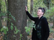 Martina Hörle beim Waldbaden in Solingen: Mit Achtsamkeit und Ruhe spürt sie die Energie und Lebendigkeit des Waldes. (Foto: © Bastian Glumm)