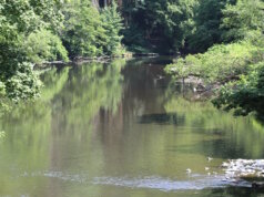 Die Wupper in Solingen. (Archivfoto: © Bastian Glumm)