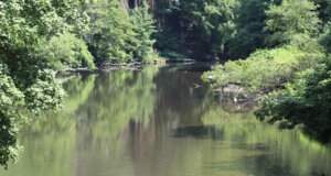 Die Wupper in Solingen. (Archivfoto: © Bastian Glumm)