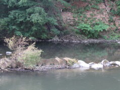 Die Wupper in Müngsten. (Archivfoto: © Bastian Glumm)