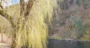 Die Wupper in Rüden. (Archivfoto: © Bastian Glumm)