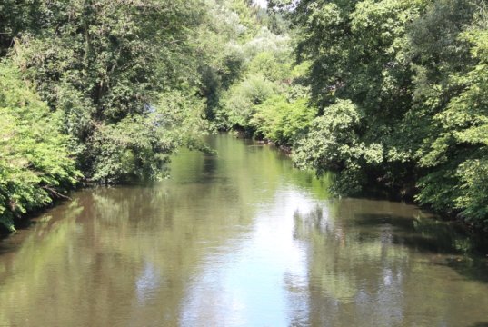 Die Wupper auf Solinger Stadtgebiet in der Kohlfurth. (Archivfoto: © Bastian Glumm)