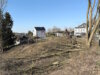 Auf einem Grundstück an der Wuppertaler Straße mussten gestern mehrere Eschen gefällt werden. Aufgrund einer akuten Gefahrenlage veranlasste der Stadtdienst Natur und Umwelt kurzfristig die Fällung. (Foto: © Tim Oelbermann)