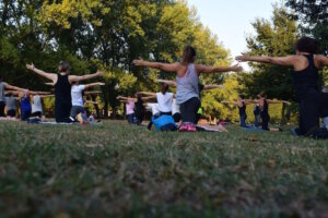 Um den passenden Yoga-Stil zu finden, solltest du dich fragen, was du mit Yoga erreichen möchtest. Willst du körperlich fitter werden, Stress abbauen oder dich spirituell weiterentwickeln? (Foto von Rui Dias/Pexels)